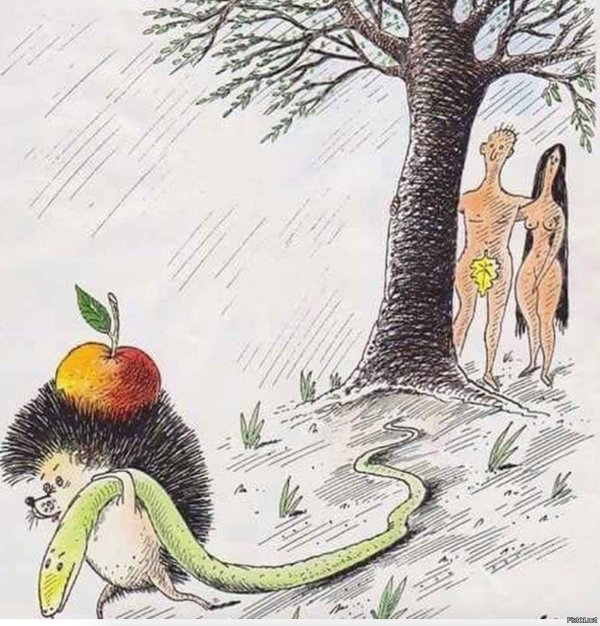 еж карикатура