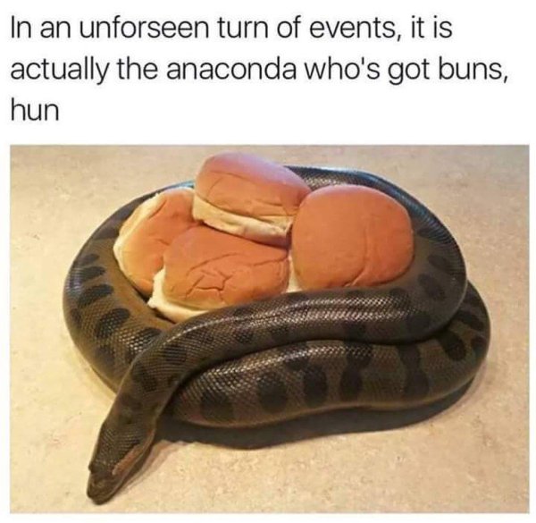 anaconda мем