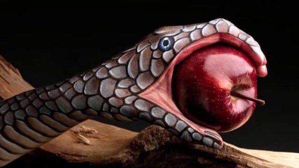 гвидо даниэле итальянский художник