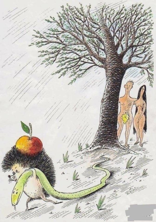 еж карикатура