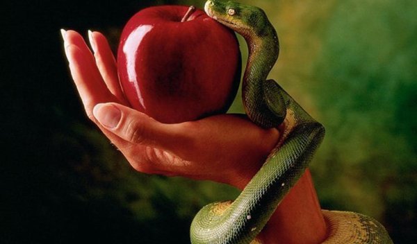 большой грех