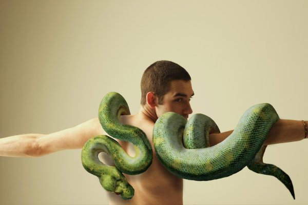 человек со змеей