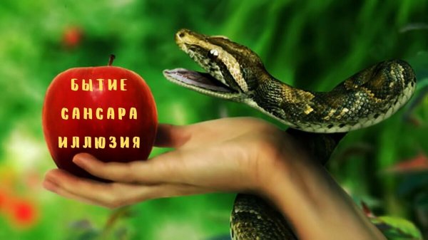 змея с яблоком