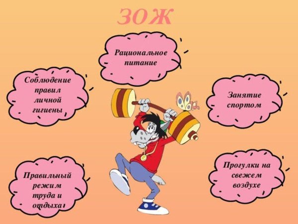 Зож взрослые