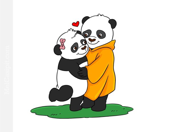 влюбленные панды