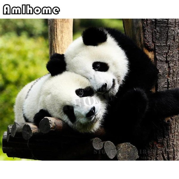 панды милые