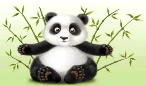 панда привет