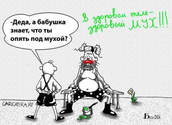 приколы карикатуры