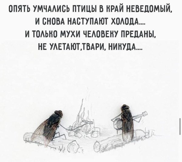 наступили холода