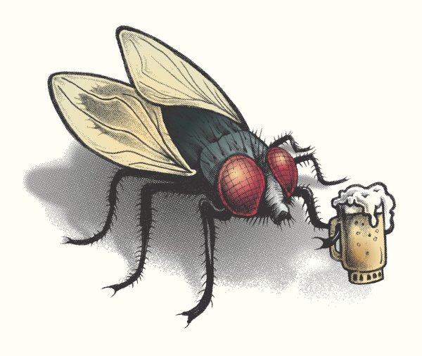 мультяшная муха