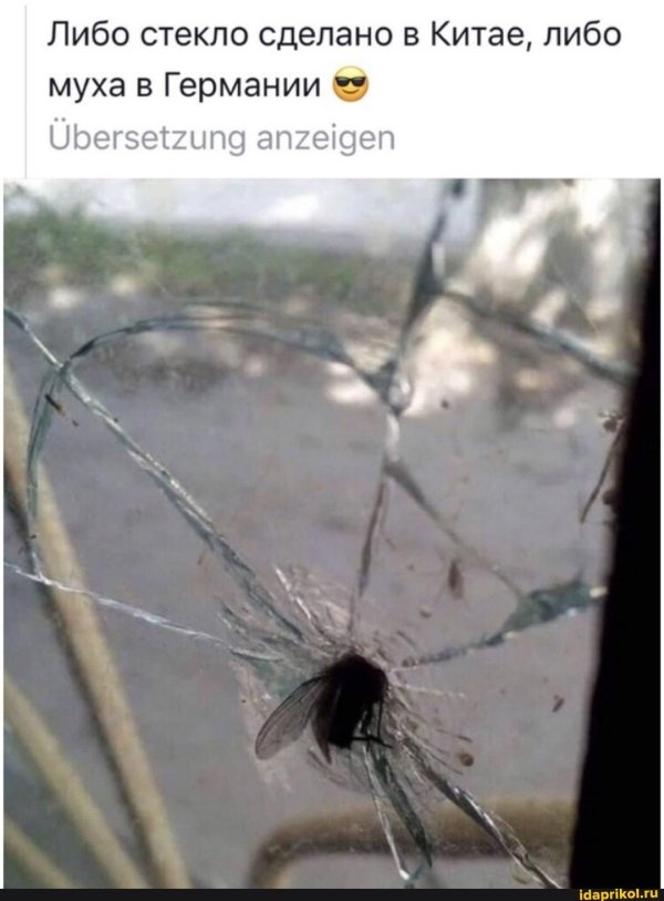 муха пробила стекло