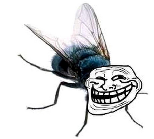 троллфейс терминатор