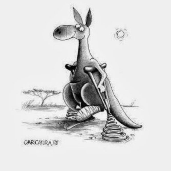 кенгуру карикатура