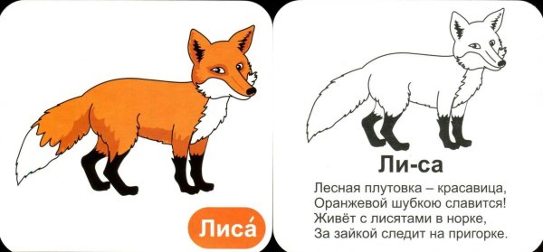 загадка про лису