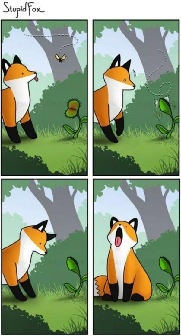 глупый лис
