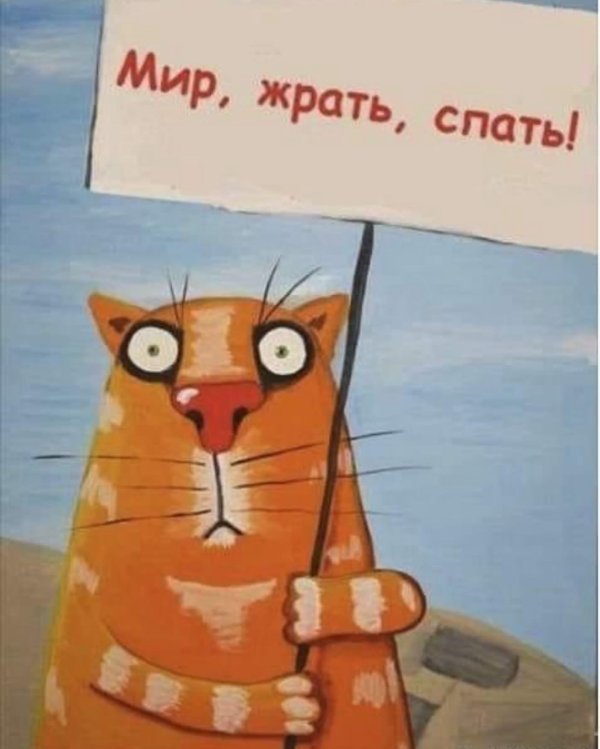 мир жрать спать