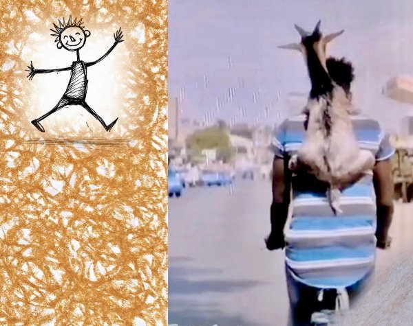 животные забавные