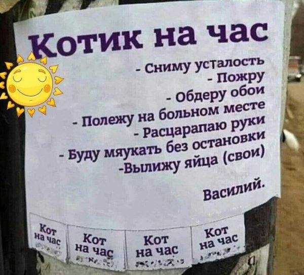 шуточные объявления