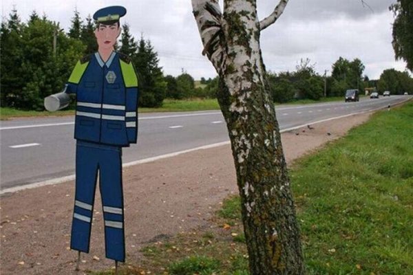 картонный полицейский