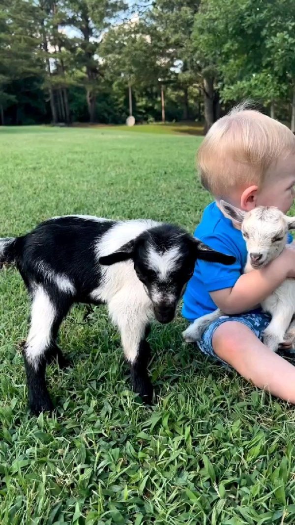 дети животные