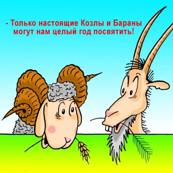 анекдоты карикатуры