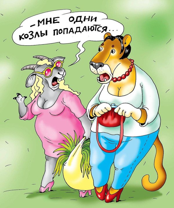 карикатуры животных