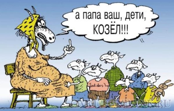 веселые карикатуры