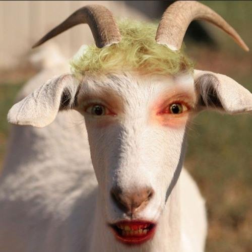 про козла