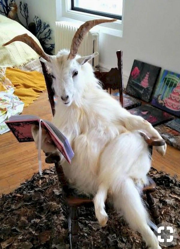 козлы по жизни