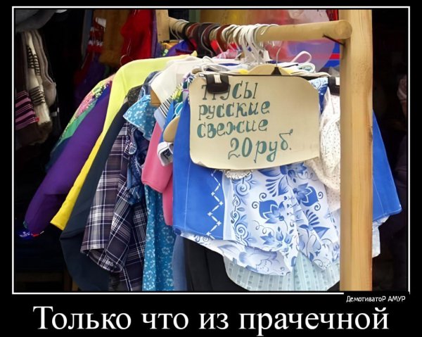 самые смешные объявления