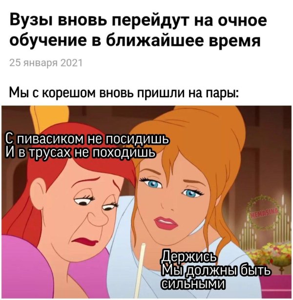 мемы которые поймут взрослые