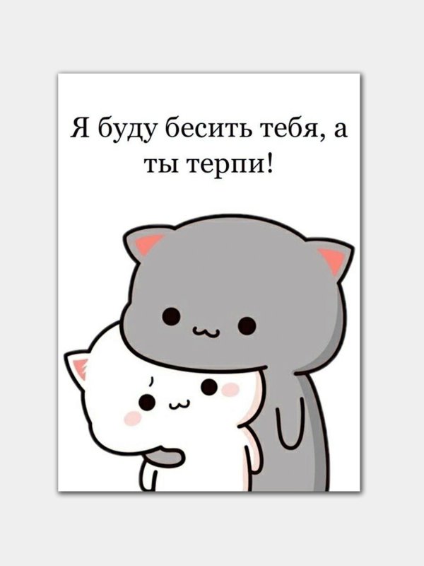 котики стикер