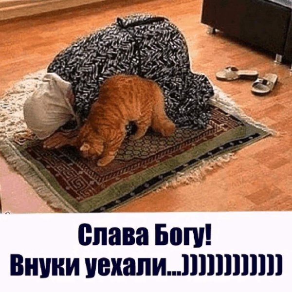 Слава богу