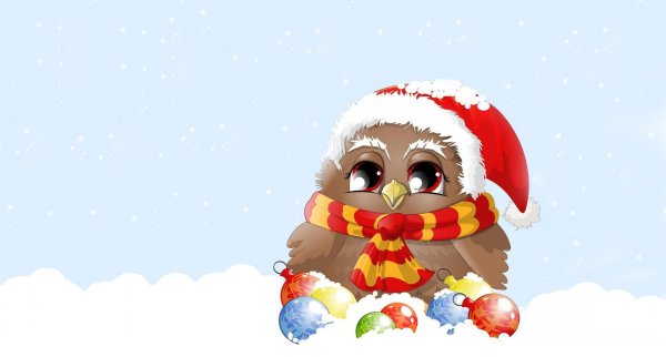 сова в новогодней шапке