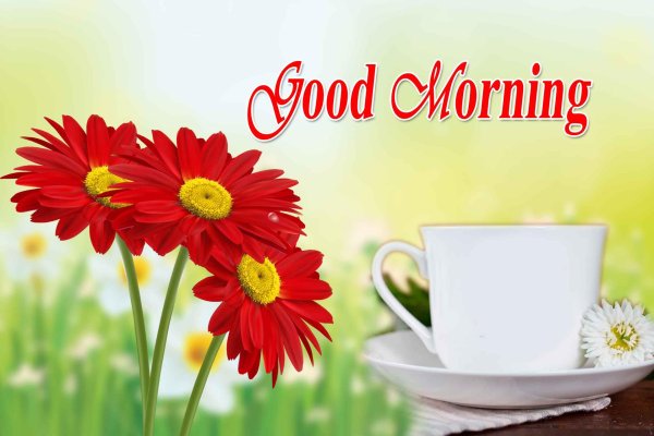 доброе утро на английском