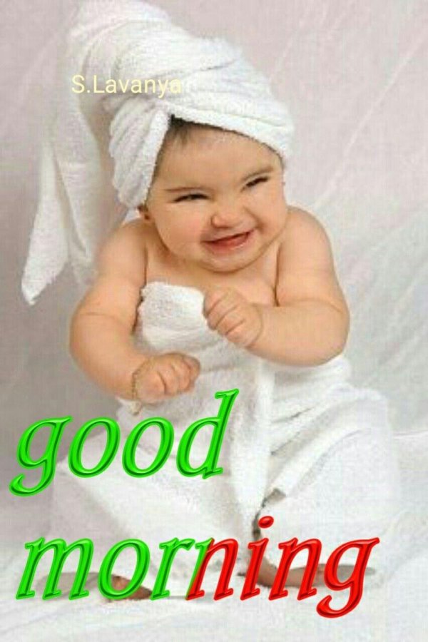 чакалоклар сурати