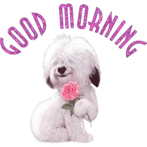 открытка с собачкой