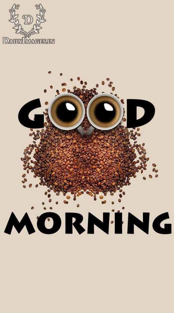 кофейная сова