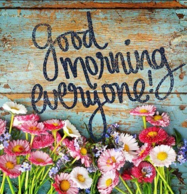 летние цветы