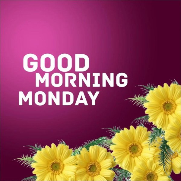 monday monday monday