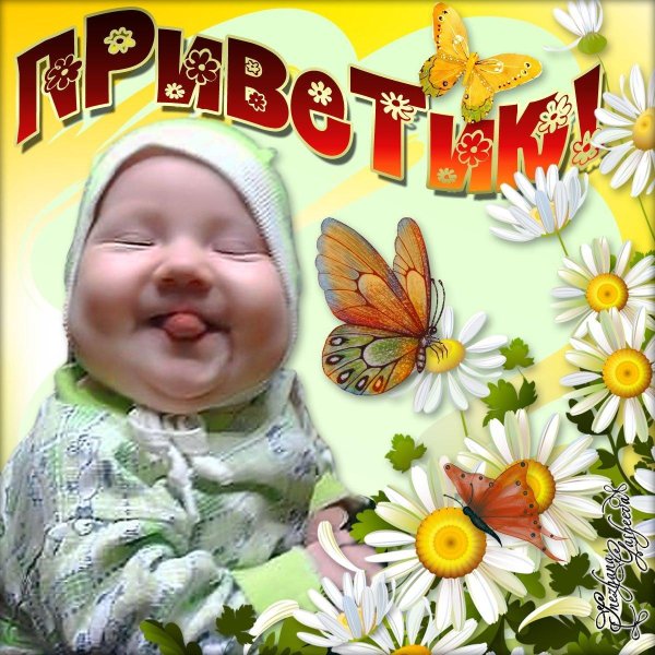 Привет