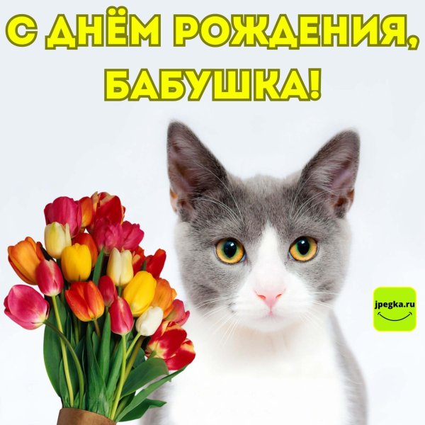 открытки с днём рождения бабушке красивые