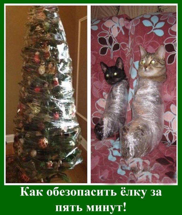 два способа обезопасить елку