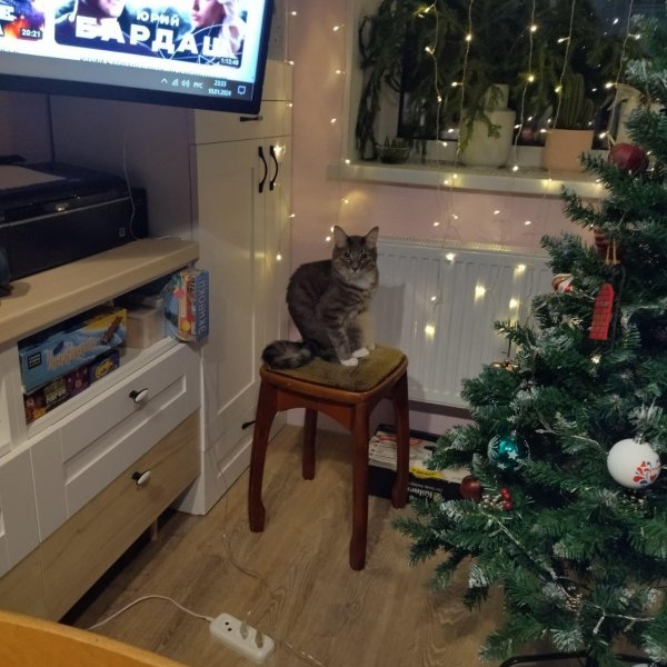 с нового года