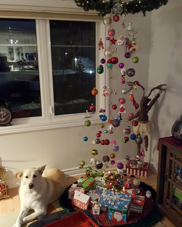 новогодней елки