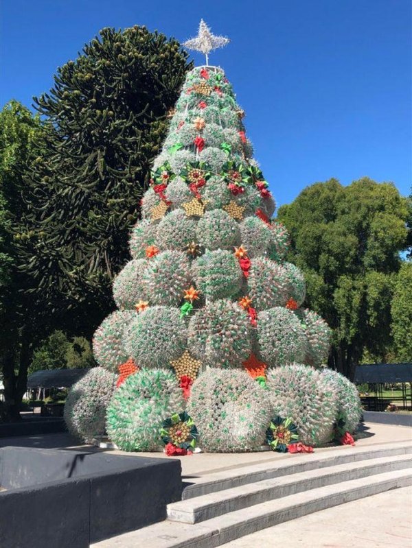 самые необычные елки