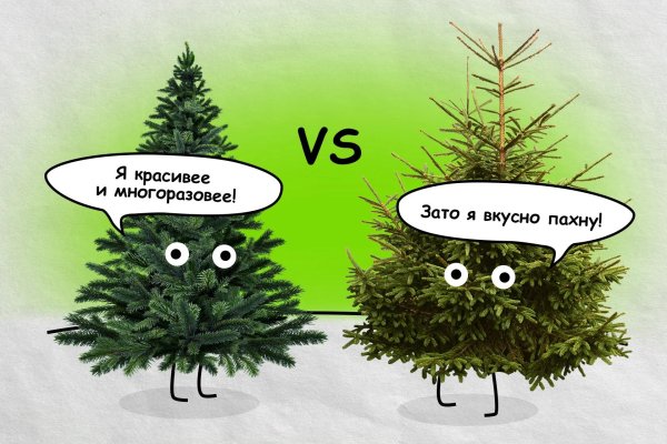 ель ёлка различие