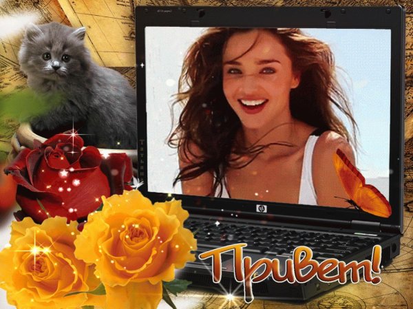 красивое приветствие