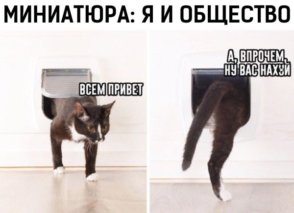 юмор приколы