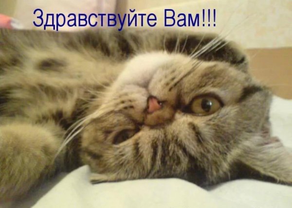 здравствуйте вам